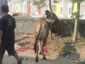 Qurban2014_001