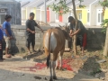 Qurban2014_002