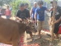 Qurban2014_003