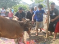 Qurban2014_004