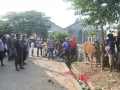 Qurban2014_007