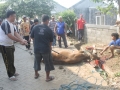 Qurban2014_012