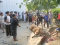 Qurban2014_013