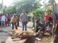 Qurban2014_016