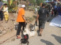 Qurban2014_042