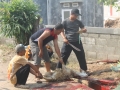 Qurban2014_046