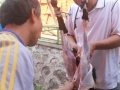 Qurban2014_061