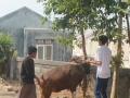 Qurban2014_068