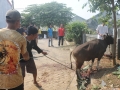 Qurban2014_074