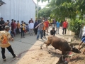 Qurban2014_076