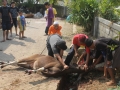 Qurban2014_082