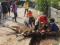 Qurban2014_083