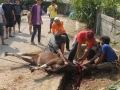 Qurban2014_084