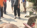 Qurban2014_089