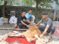 Qurban2014_110