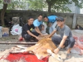 Qurban2014_111