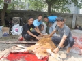 Qurban2014_112