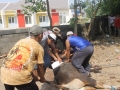 Qurban2014_117