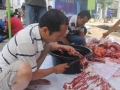 Qurban2014_149