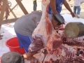 Qurban2014_162