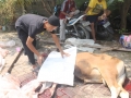 Qurban2014_171