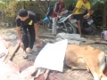 Qurban2014_172